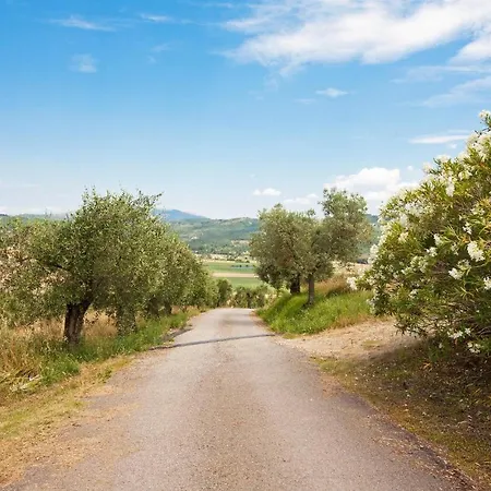 Nice Home In Castiglione Del Lago With Outdoor Swimming Pool And 7 Bedrooms * Кастильоне-дель-Лаго